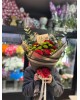 Blossom  Kırmızı Gül Buketi