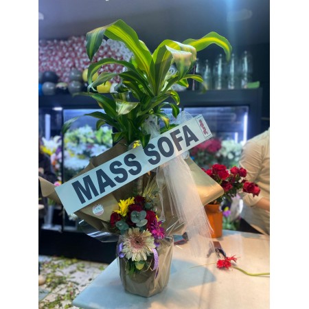 Masengene Bitkisi