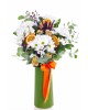 Daisy Sunshine Papatya